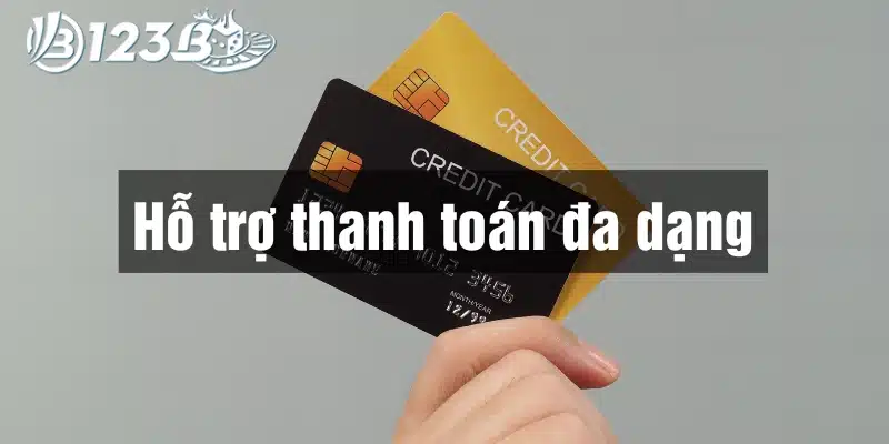 Hỗ trợ nhiều phương thức thanh toán