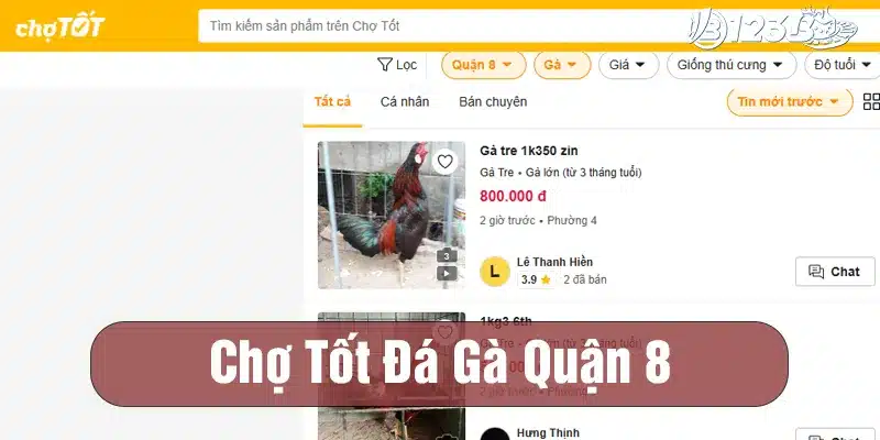 Giới thiệu chợ tốt gà đá quận 8