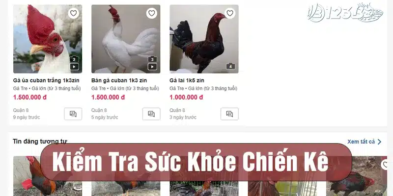 Kiểm tra thông tin sức khỏe chiến kê