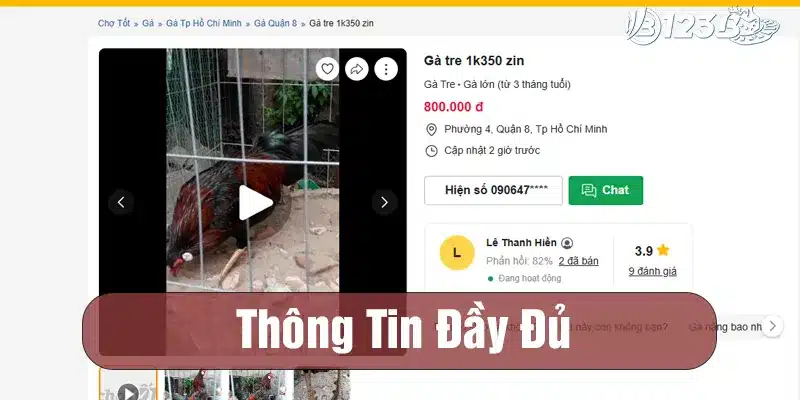 Chợ tốt gà đá quận 8 đầy đủ thông tin