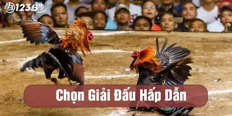 Chọn giải đấu và trận đấu hấp dẫn nhất