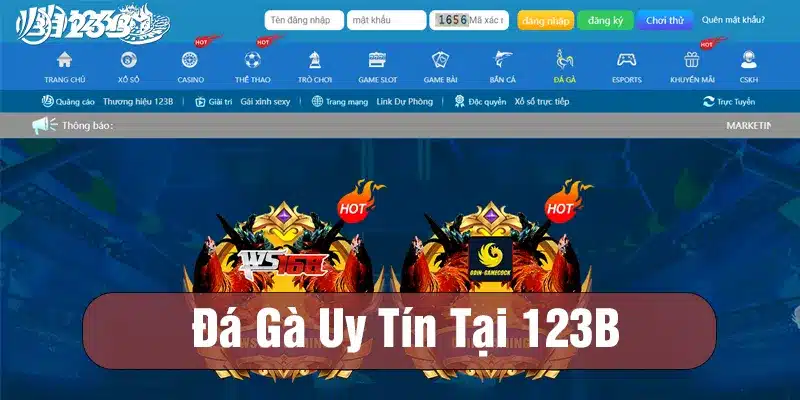 Tham gia đá gà 123B hấp dẫn nhất