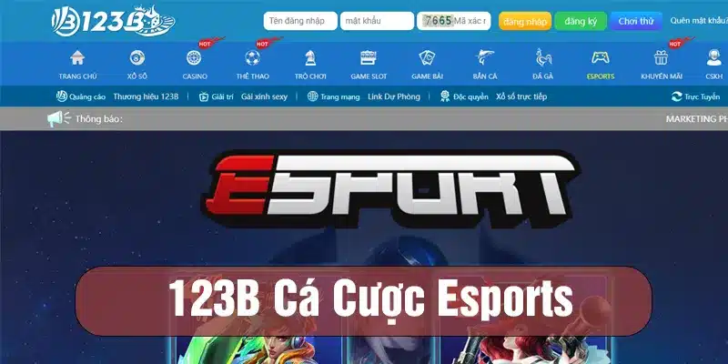 123B là trang cá cược Esports được yêu thích