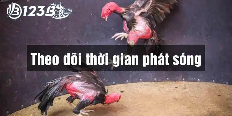 Nắm bắt các giờ phát sóng để tránh bỏ lỡ những trận đấu kịch tính