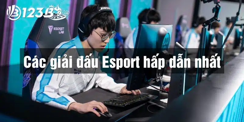 Tổng hợp các giải đấu Esports hấp dẫn nhất