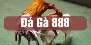 đá gà 888