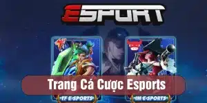 trang cá cược Esports 123b