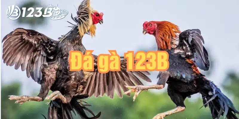 chơi game đá gà 123b