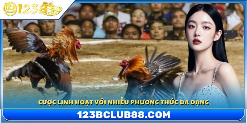 Cược linh hoạt với nhiều phương thức đa dạng